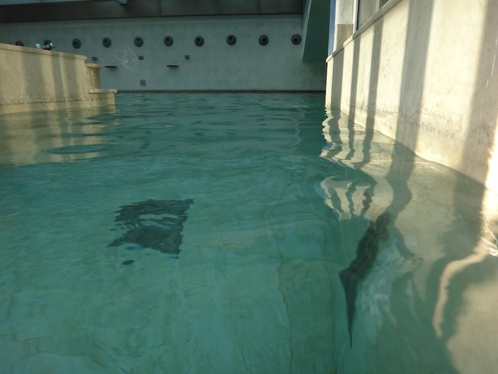 מלון ונטורינה טרמה Terme Di Venturina מראה חיצוני תמונה